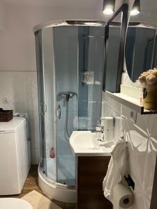 マルボルクにあるApartament Przy Ratuszuのシャワーと洗面台付きのバスルーム +13枚の写真