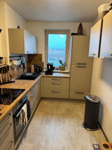 Kuchyň nebo kuchyňský kout v ubytování AngiDan