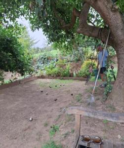 ChiatraにあるVilla Bianca Chioselleの木の下に座る者 +10枚の写真