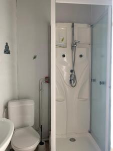 a white bathroom with a shower and a toilet at Villa Ramuntcho in La Bourboule +40 photos