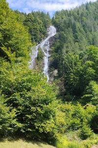 Příroda nedaleko apartmánu + 1 fotografie