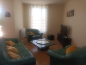 een woonkamer met twee banken en een salontafel bij Super Apt terrasse 2box in Olivet +1 foto