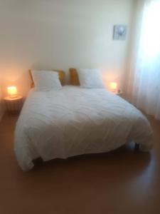 een slaapkamer met een wit bed met twee lampen bij Super Apt terrasse 2box in Olivet