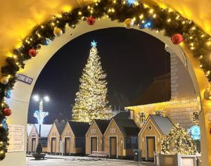 Ein Weihnachtsbaum mitten in einer Stadt in der Unterkunft Old City Poema in Braşov
