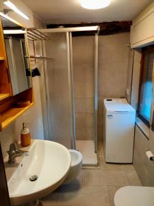 een badkamer met een wastafel, een toilet en een douche bij appartamento Casa Lucia in Cencenighe