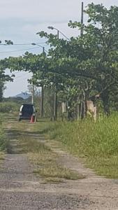 Un paisaje natural cerca de la casa de huéspedes
