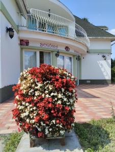 a large bush of red and white flowers in front of a building at Begónia Vendégház in Szigetszentmiklós