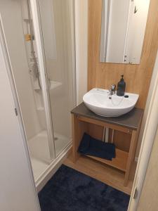 un bagno con lavandino e doccia di Ollys House a Prestatyn
