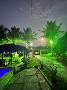 einen Garten mit Palmen und einem Pool in der Nacht in der Unterkunft Chácara do Sossego in Viçosa do Ceará