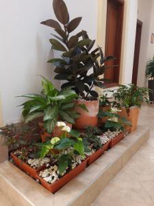 Ảnh trong thư viện ảnh của Hotel Abadias De Zapatoca ở Zapatoca +106 ảnh