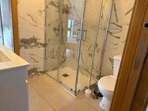 a bathroom with a shower and a toilet at 3 Marias São Sebastião in Lousa +24 photos