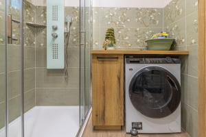 布莱德Počitniška hiša Gorski Šepet Bled的带淋浴的浴室里的洗衣机 更多82张照片