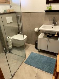 a bathroom with a shower and a toilet and a sink at Charmant Studio in Mattsee