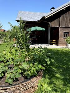 a bunch of plants in a basket in front of a building at Charmant Studio in Mattsee