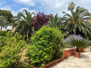 Zahrada ubytování B&B Ippocastano