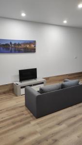 Una sala de estar con un sofá y un televisor de pantalla plana. en Casa da Praça, en Murtosa