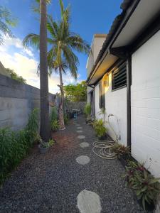 a garden with palm trees next to a building at TI KAZ PIROGUE in L'Étang-Salé les Bains