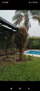 Un árbol con una jardinera al lado de una piscina. en Linda Casa Barrio Privado, en Yerba Buena