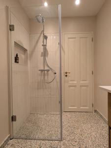 una doccia con una porta in vetro in un bagno di Historic Residence with Lake View a Stenstrup