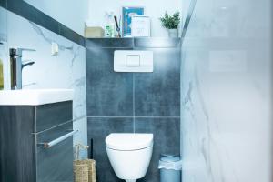 a bathroom with a white toilet and a sink at Dili Appartement in Altenmarkt im Pongau +20 photos