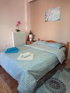 Postel nebo postele na pokoji v ubytování Alexandra's Studio pyli