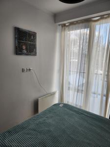 Postel nebo postele na pokoji v ubytování Bakuriani Art Hotel apartament