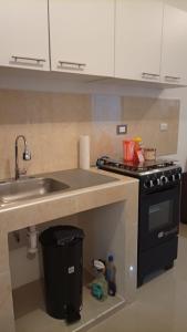 een keuken met een spoelbak en een fornuis bij Joseline House in San Miguel +4 foto's