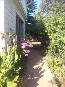 Vonkajšia záhrada v ubytovaní Apartment Lavander