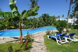Swimmingpoolen hos eller tæt på Gecko Azul, Las Galeras