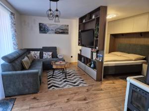 Et tv og/eller underholdning på Luxusne apartmany z tarasami - Isabel