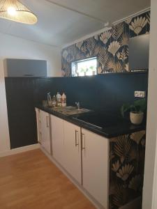 Kuchyň nebo kuchyňský kout v ubytování Charmante maison meublée à louer à Sainte-Clotilde