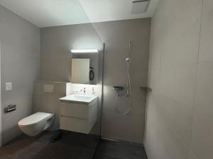 a bathroom with a shower and a toilet and a sink at Alpine Loft in Interlaken