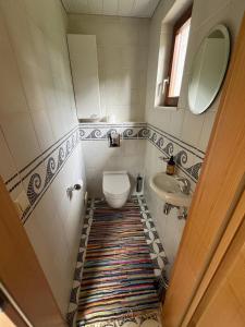 a bathroom with a toilet and a sink at Holiday home Gröbming Ski Mountains in Gröbming +11 photos