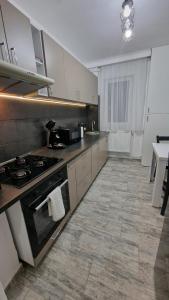 Køkken eller tekøkken på Cozy green apartament