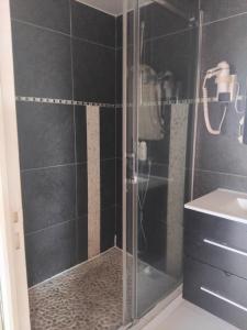 a shower with a glass door in a bathroom at Kote mer Villa Bayside in Sainte-Anne