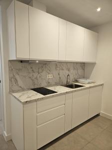 Кухня или мини-кухня в hostal San luis apartamentos
