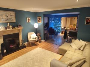 Radharc Sléibhe في Kilgarvan: غرفة معيشة مع أريكة وشجرة عيد الميلاد