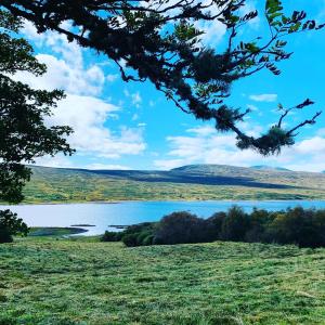 Phong cảnh thiên nhiên gần nhà nghỉ dưỡng