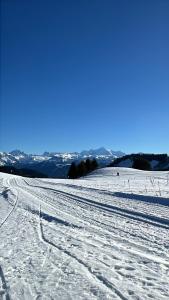 a snow covered slope with tracks in the snow at Studio centre-ville in Cluses
