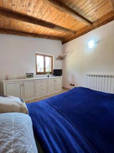 にあるRelax private villa and car park lago nemiの青いベッドと窓のある寝室 +18枚の写真