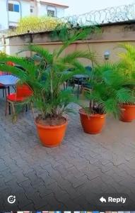 Φωτογραφία από το άλμπουμ του Sentinels Apartment and Suites by STEFANOS στην Αμπούζα