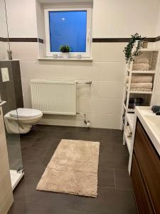 a bathroom with a toilet and a window and a rug at Ferienwohnung Zum Preußensteig in Pfeffelbach +19 photos