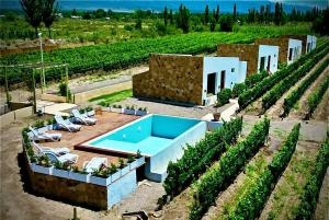 Swimmingpoolen hos eller tæt på Blanco de Malbec 1