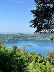 a view of a lake from a tree at Private house with car park at nemi lake 