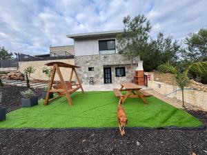 a dog standing next to a picnic table on a green rug at רויאל דליה in Dāliyat el Karmil +9 photos