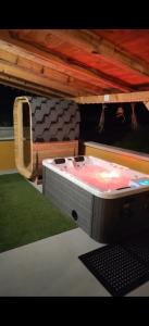 Biliár nebo kulečník v ubytování Holiday House Provance