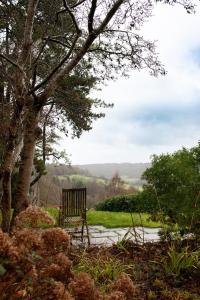 eine Bank, die unter einem Baum im Park sitzt in der Unterkunft Garden flat in Bath