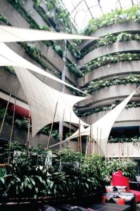 墨西哥城的住宿－Hotel Real del Sur，一座植物在建筑的一侧