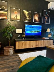 Μια τηλεόραση ή/και κέντρο ψυχαγωγίας στο Apartman Viktorija +43 φωτογραφίες