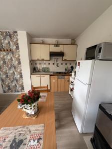 Il comprend une cuisine équipée d'un réfrigérateur blanc et d'une table en bois. dans l'établissement Alisiers 18, à Eugénie-les-Bains